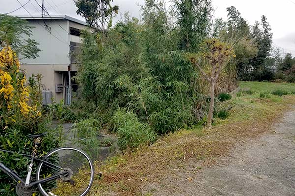 雑木林伐採工事 伐根 伐開 除根作業